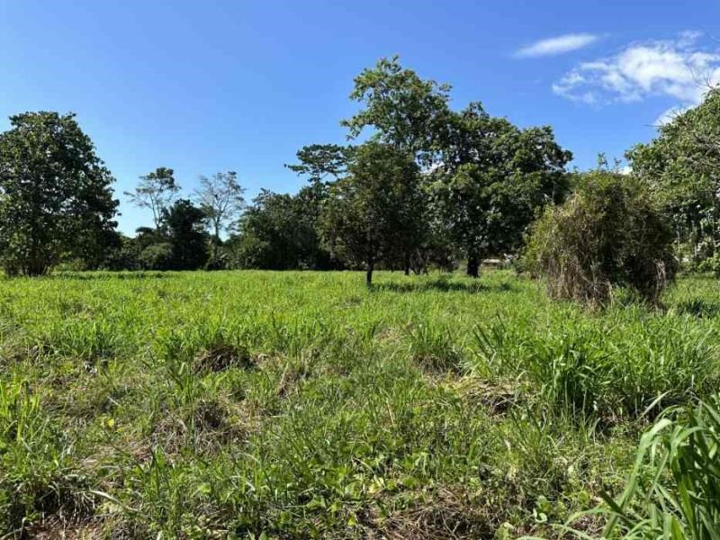 Over 3 Acres, Mountain View Lot in the Heart of Ojochal, Ready for Development!